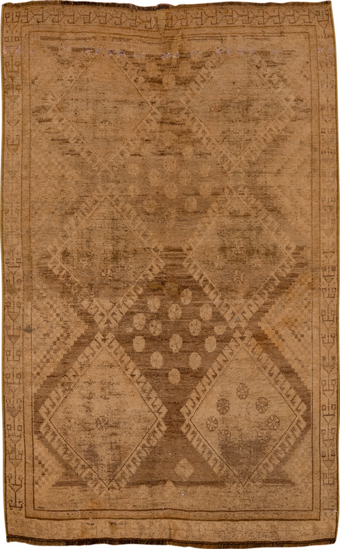 Antique Shiraz Area Rug (3' x 5')